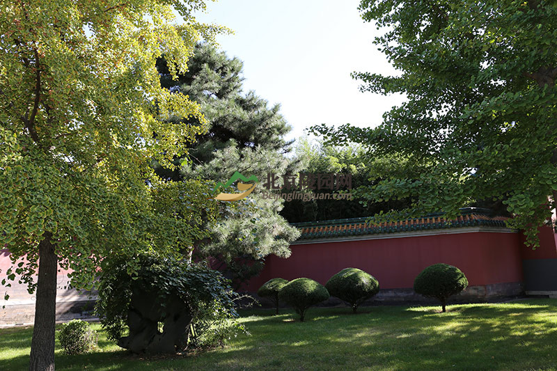 万佛华侨陵园绿化 万佛华侨陵园绿化