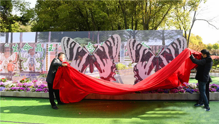 生命晶玉葬 生命晶玉葬